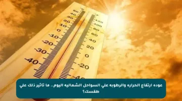 عودة ارتفاع الحرارة والرطوبة على السواحل الشمالية اليوم.. ما تأثير ذلك على طقسك؟
